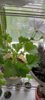изображение_viber_2022-11-13_16-04-07-383.jpg