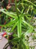 IMG_20221227_222446.jpg