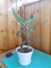 DSCN9042.JPG