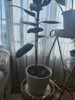 IMG_20231109_085003.jpg