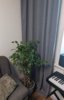 PXL_20231130_051049879~2.jpg