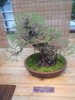 DSCN3289.JPG