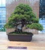 DSCN3293.JPG