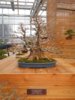 DSCN3316.JPG