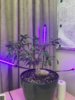 IMG_4179.jpeg