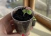 upload_2024-4-8_11-17-39.jpeg