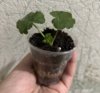 upload_2024-4-17_21-47-24.jpeg