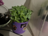 изображение_2024-05-03_045337361.png