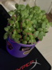 изображение_2024-05-03_045344494.png