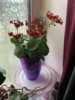 IMG_9264.jpeg