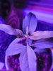 IMG_20250202_221159852.jpg