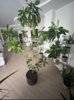 4uCPaQ63KL7LgOSs3Wkr9DMFkxKr6f6pj60pans9utGPhFBiDYRWGT52JYl9rfas3W0-IyTRd-9hOnUTpO5YPmJl.jpg