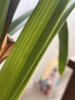 IMG_3881.jpeg