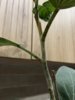 IMG_9083.jpeg