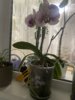 IMG_2843.jpeg