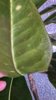 IMG_8147.jpeg