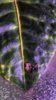 IMG_8138.jpeg
