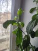 IMG_20250502_094037.jpg