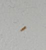 20250504_160222.jpg
