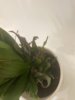 IMG_5578.jpeg