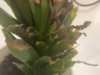 IMG_5579.jpeg