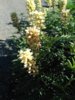 IMG_180525_014309.jpg