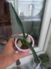 20250604_064658.jpg