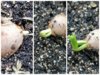 Collage_20250429_181612.jpg