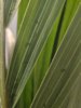 20250605_184250.jpg
