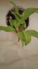 IMG-20250608-WA0014.jpeg