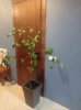 IMG_20250719_224109.jpg