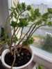 IMG_3459.jpeg