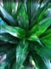 image1.png