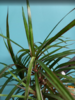 image2.png