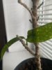FDFF3122-DB1F-4EA2-9DDA-EBB8015F3769.jpeg