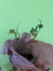 IMG_4863.jpeg