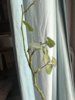 IMG_4894.jpeg