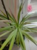 IMG20250820114156.jpg