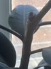 01071583-190B-48AF-8F94-91991CE08B02.jpeg