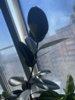 2EA44295-A215-44AF-87E8-00EAB4031565.jpeg