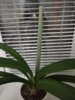 IMG_20260409_201227.jpg