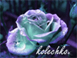 kolechco