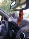 Наташа_2011
