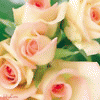 Glori*a