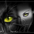 Koty@