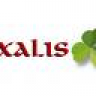 Oxalis