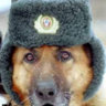 Миша Беленький
