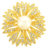 Golden Daisy