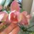 Liudmila Orchids