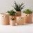 Planter